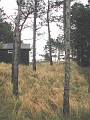 Jens' hus ved stranden 5